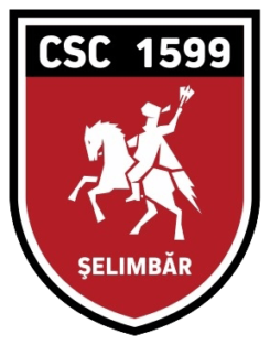 csc 1599 șelimbăr