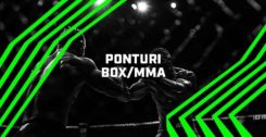 ponturi box mma