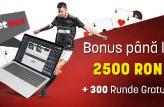 NetBet Păreri